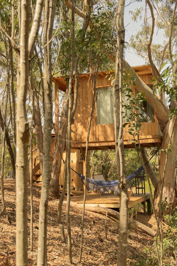Soul Farm Algarve - Glamping & Farm Houses Алжезур Экстерьер фото