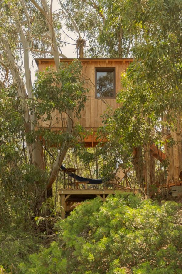 Soul Farm Algarve - Glamping & Farm Houses Алжезур Экстерьер фото