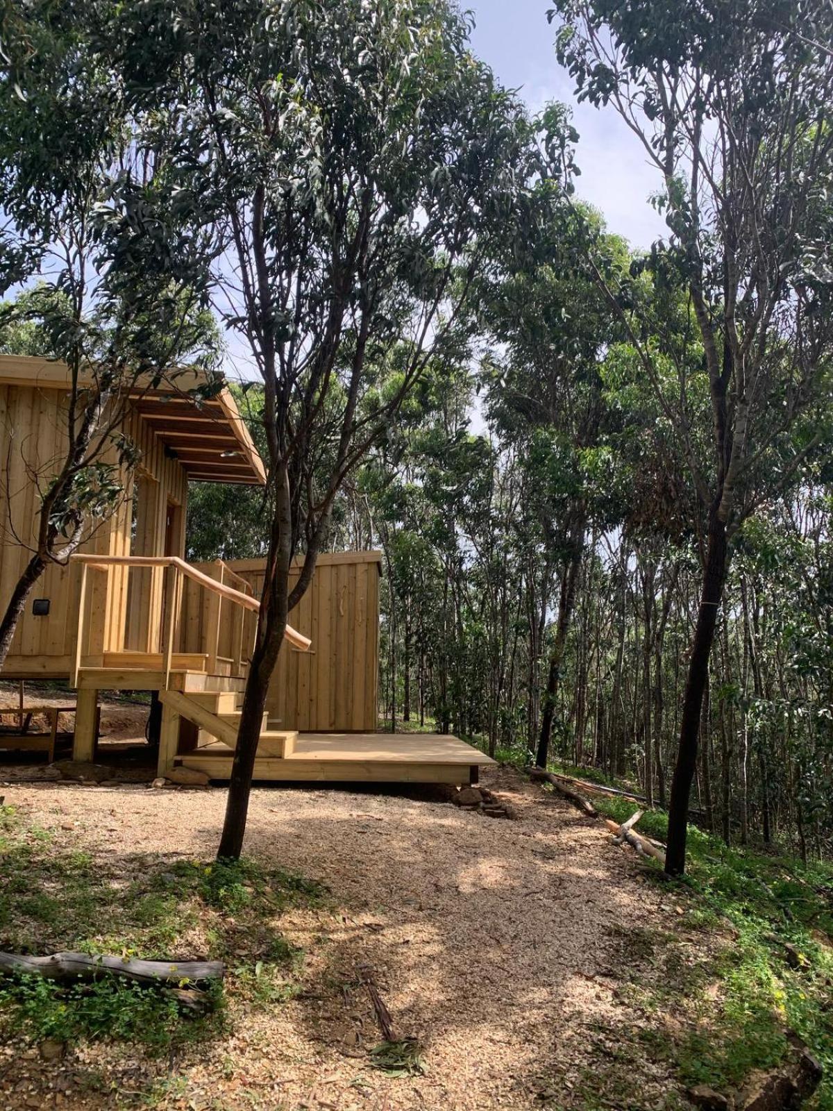 Soul Farm Algarve - Glamping & Farm Houses Алжезур Экстерьер фото